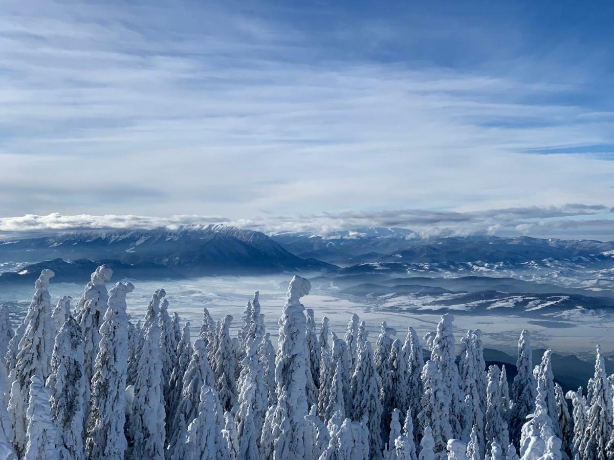 Silver Mountain 포이아나브라소프 외부 사진