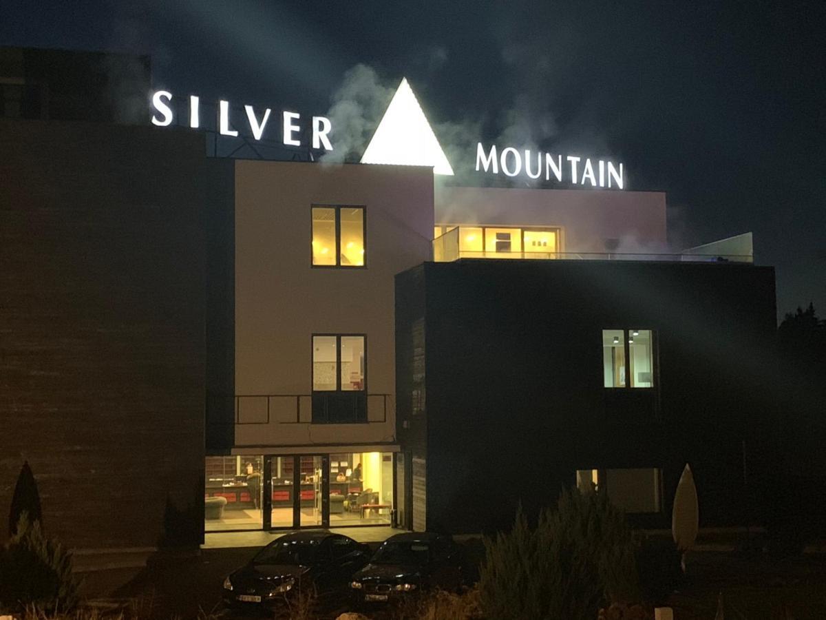 Silver Mountain 포이아나브라소프 외부 사진